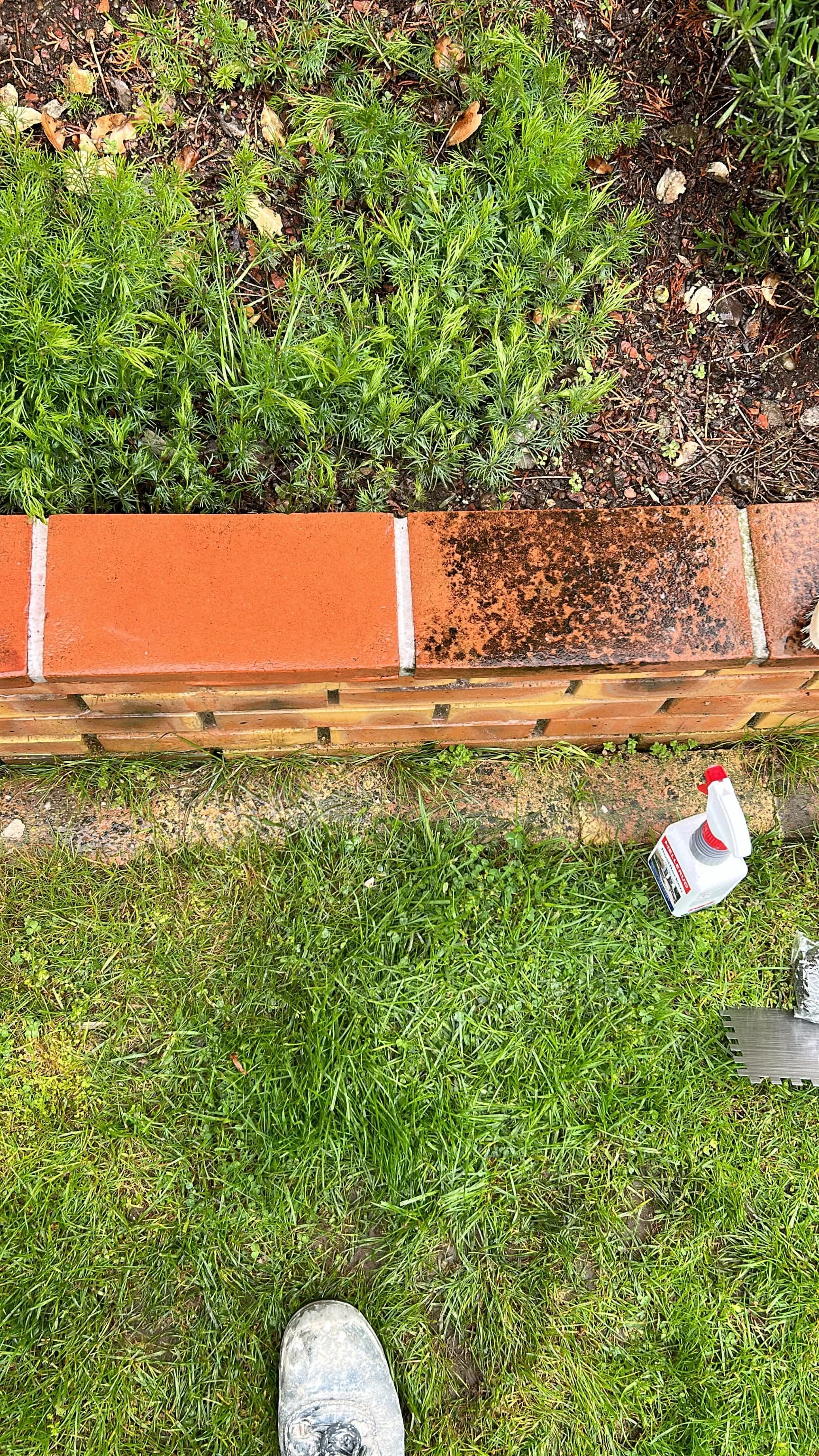Gartenpflege mit Expertise 2