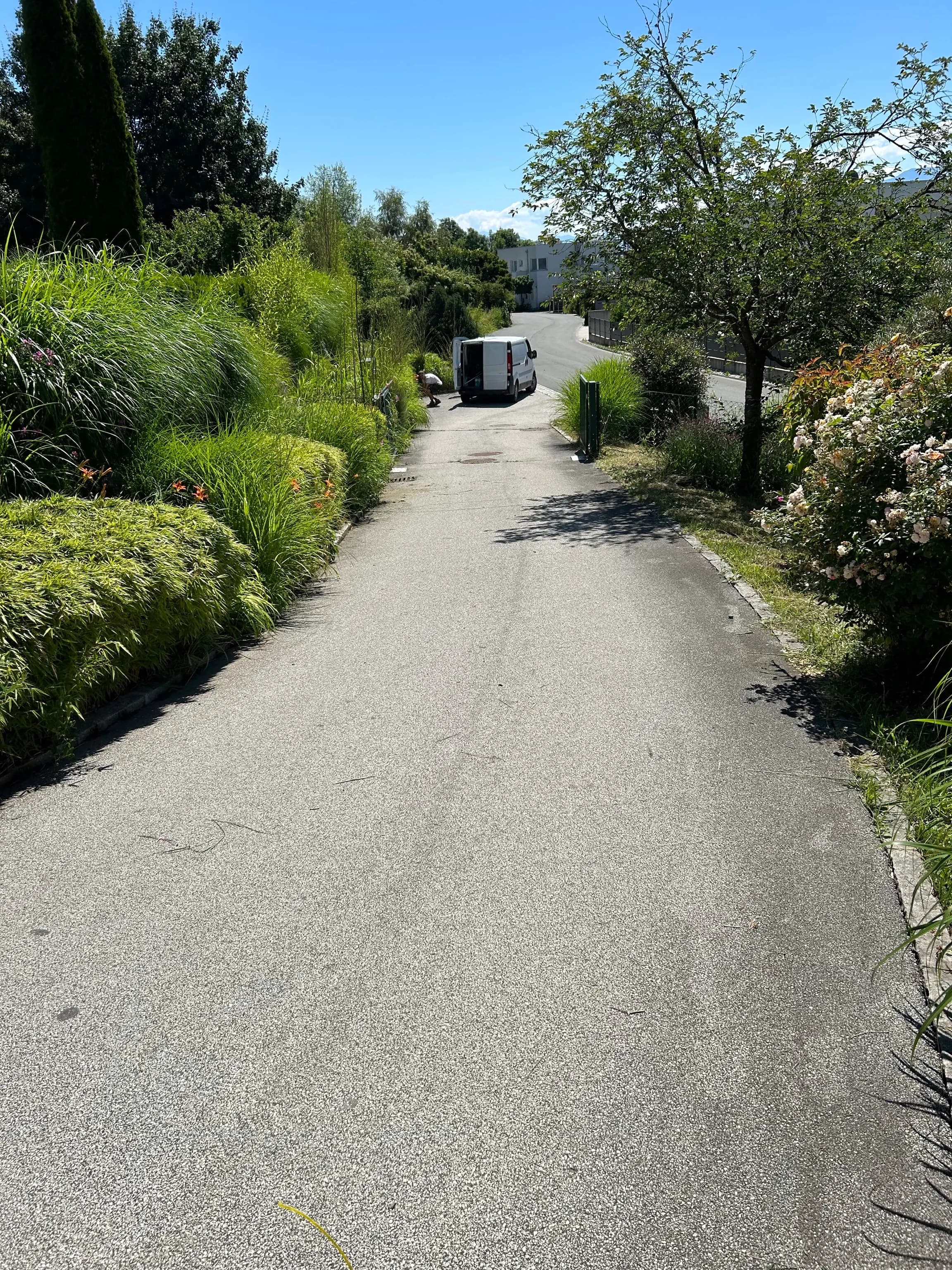 Gartenpflege - Unkrautjäger im Einsatz 3