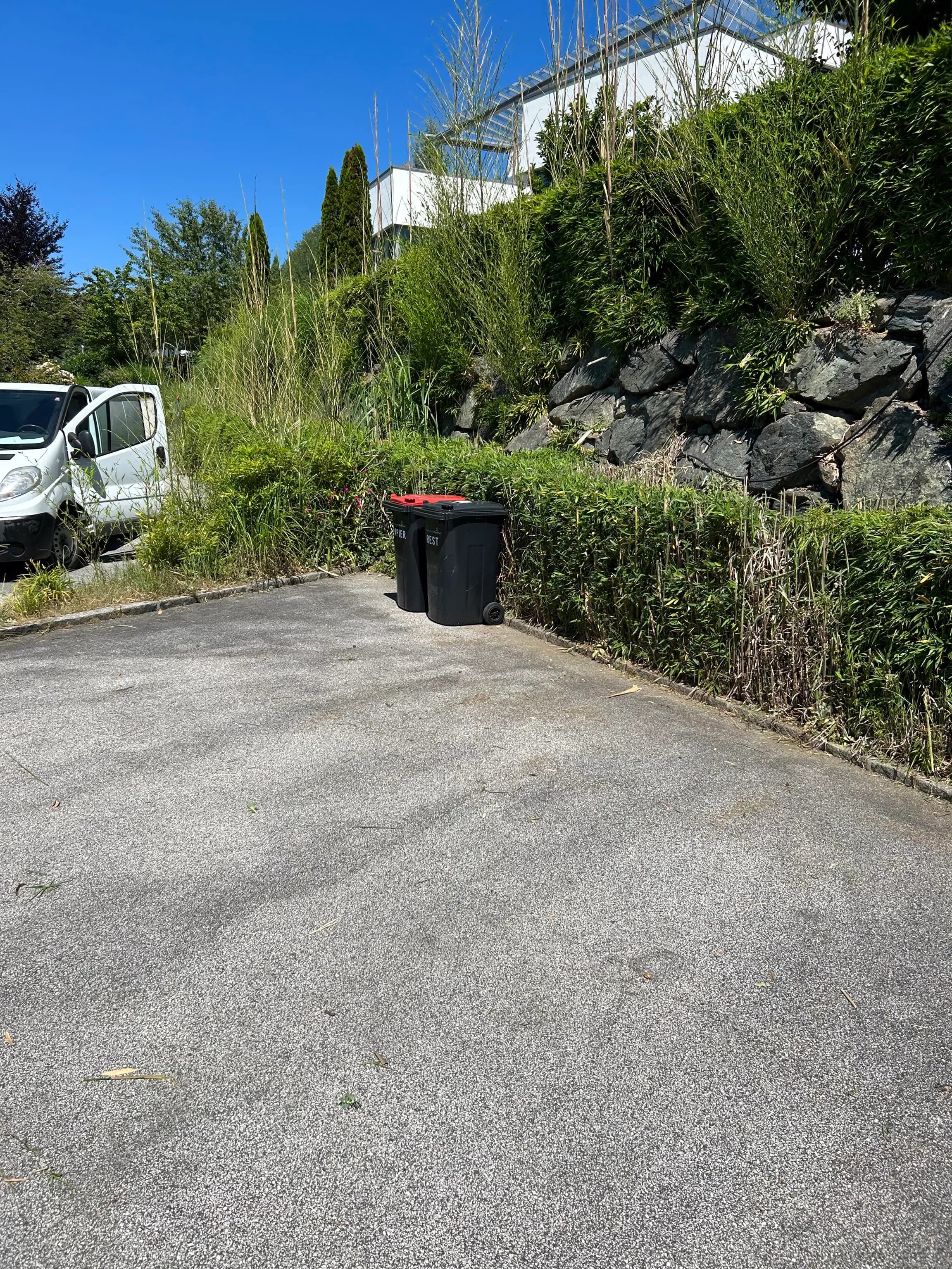 Gartenpflege - Unkrautjäger im Einsatz 5
