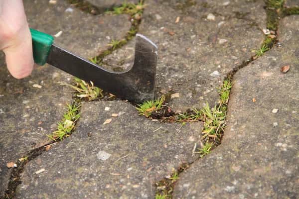 Gartenpflege - Unkrautjäger im Einsatz